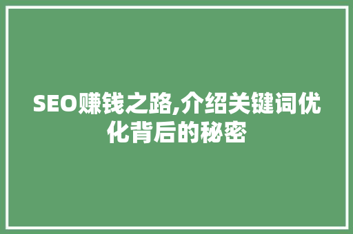 SEO赚钱之路,介绍关键词优化背后的秘密
