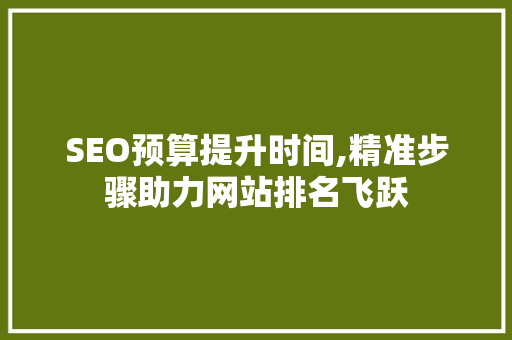 SEO预算提升时间,精准步骤助力网站排名飞跃