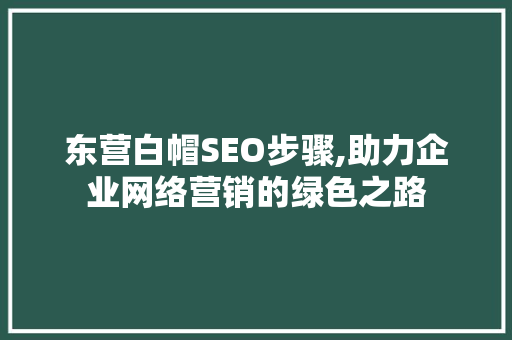 东营白帽SEO步骤,助力企业网络营销的绿色之路  第1张