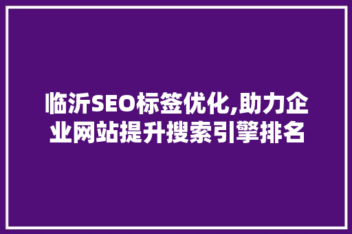 临沂SEO标签优化,助力企业网站提升搜索引擎排名