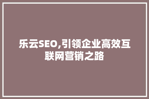 乐云SEO,引领企业高效互联网营销之路