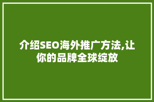 介绍SEO海外推广方法,让你的品牌全球绽放