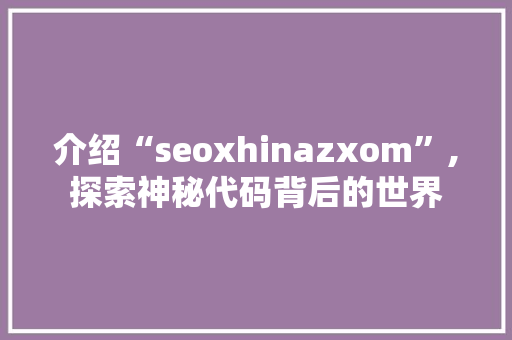 介绍“seoxhinazxom”,探索神秘代码背后的世界