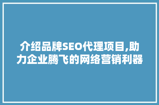 介绍品牌SEO代理项目,助力企业腾飞的网络营销利器