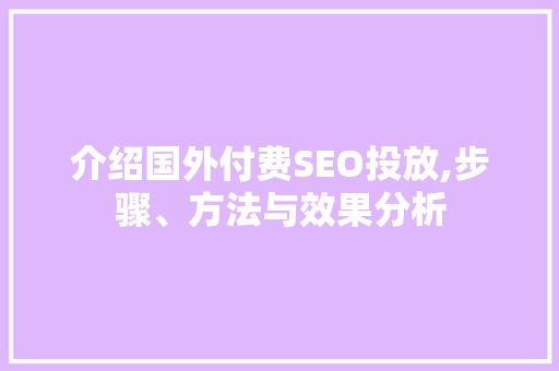 介绍国外付费SEO投放,步骤、方法与效果分析