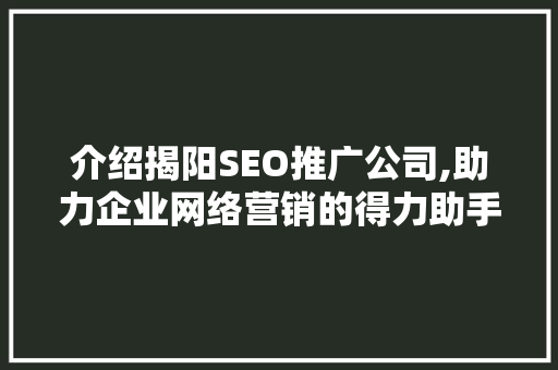介绍揭阳SEO推广公司,助力企业网络营销的得力助手  第1张