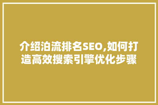 介绍泊流排名SEO,如何打造高效搜索引擎优化步骤