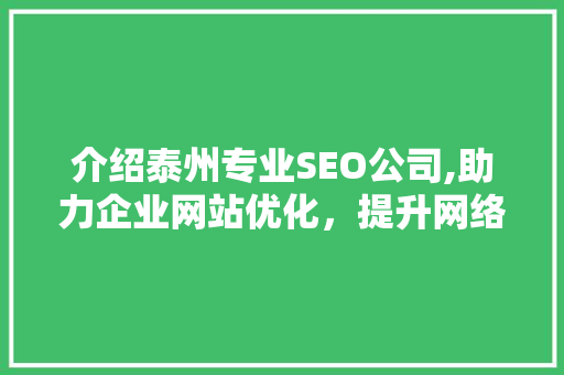 介绍泰州专业SEO公司,助力企业网站优化，提升网络竞争力