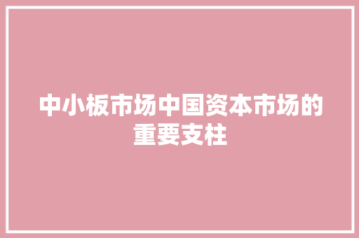 中小板市场中国资本市场的重要支柱