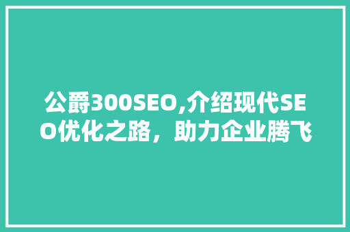 公爵300SEO,介绍现代SEO优化之路，助力企业腾飞