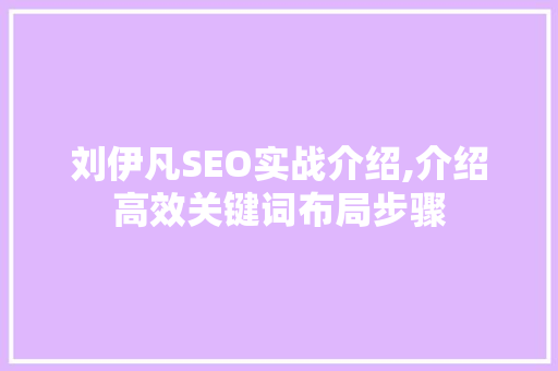 刘伊凡SEO实战介绍,介绍高效关键词布局步骤