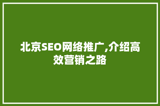 北京SEO网络推广,介绍高效营销之路