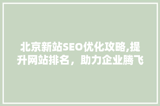 北京新站SEO优化攻略,提升网站排名，助力企业腾飞