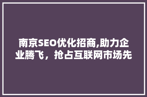 南京SEO优化招商,助力企业腾飞，抢占互联网市场先机