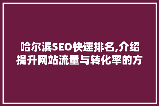 哈尔滨SEO快速排名,介绍提升网站流量与转化率的方法