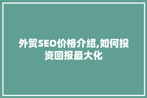 外贸SEO价格介绍,如何投资回报最大化