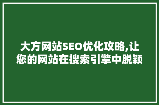 大方网站SEO优化攻略,让您的网站在搜索引擎中脱颖而出