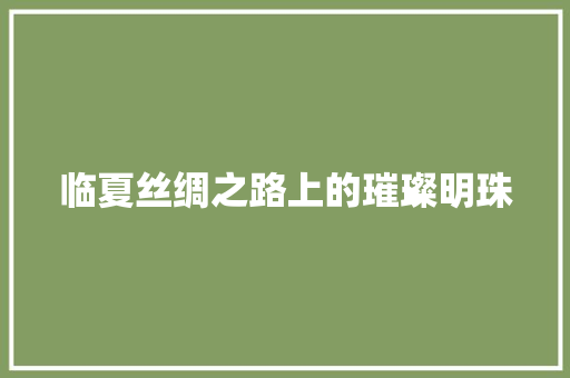 临夏丝绸之路上的璀璨明珠