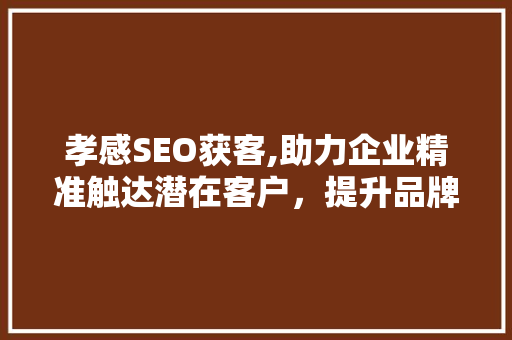孝感SEO获客,助力企业精准触达潜在客户，提升品牌影响力  第1张