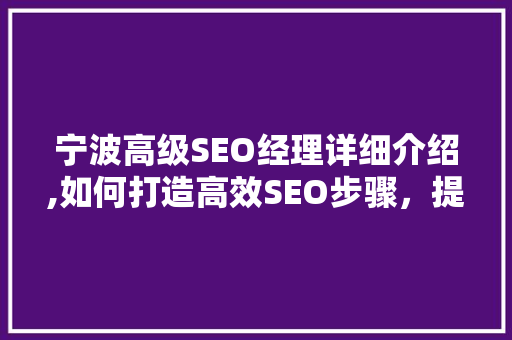 宁波高级SEO经理详细介绍,如何打造高效SEO步骤，提升企业网站排名