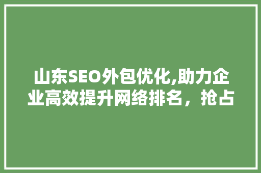 山东SEO外包优化,助力企业高效提升网络排名，抢占市场先机