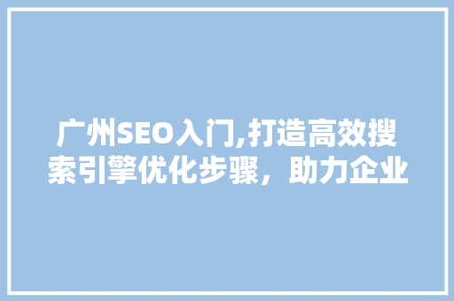 广州SEO入门,打造高效搜索引擎优化步骤，助力企业互联网发展