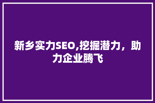 新乡实力SEO,挖掘潜力，助力企业腾飞