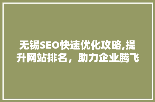 无锡SEO快速优化攻略,提升网站排名，助力企业腾飞
