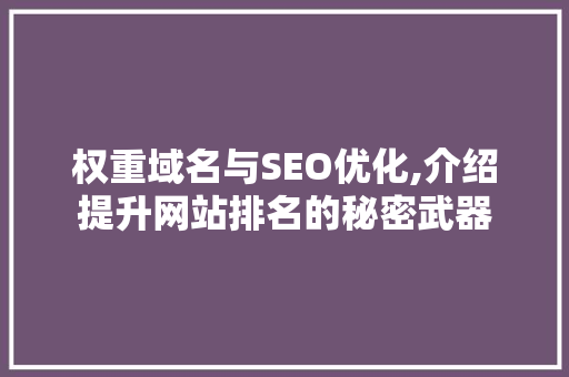 权重域名与SEO优化,介绍提升网站排名的秘密武器