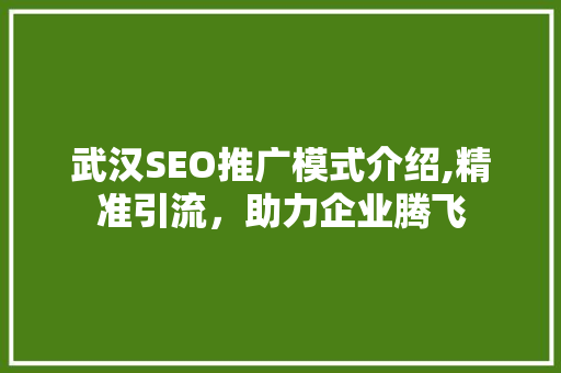 武汉SEO推广模式介绍,精准引流，助力企业腾飞