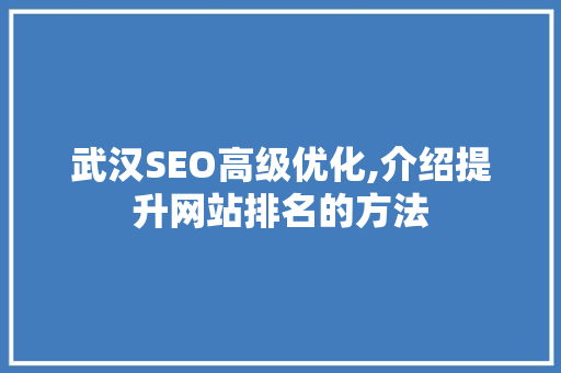 武汉SEO高级优化,介绍提升网站排名的方法