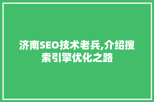 济南SEO技术老兵,介绍搜索引擎优化之路