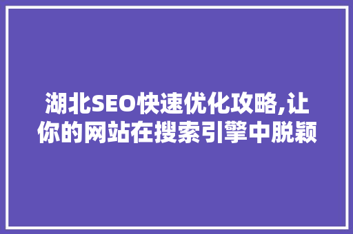 湖北SEO快速优化攻略,让你的网站在搜索引擎中脱颖而出