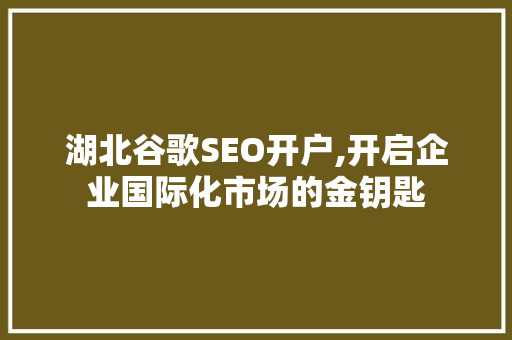 湖北谷歌SEO开户,开启企业国际化市场的金钥匙