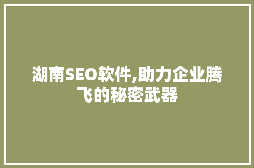 湖南SEO软件,助力企业腾飞的秘密武器