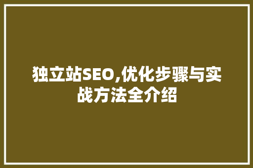 独立站SEO,优化步骤与实战方法全介绍