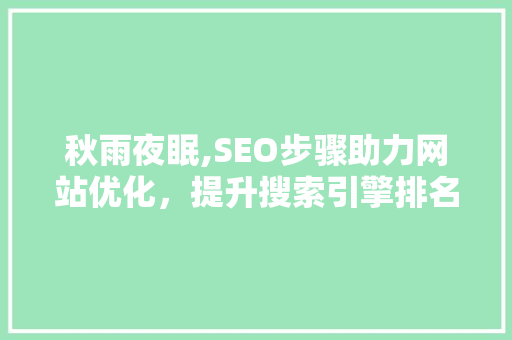 秋雨夜眠,SEO步骤助力网站优化，提升搜索引擎排名