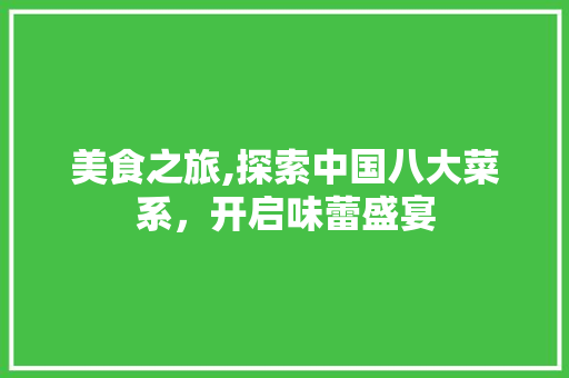 美食之旅,探索中国八大菜系，开启味蕾盛宴