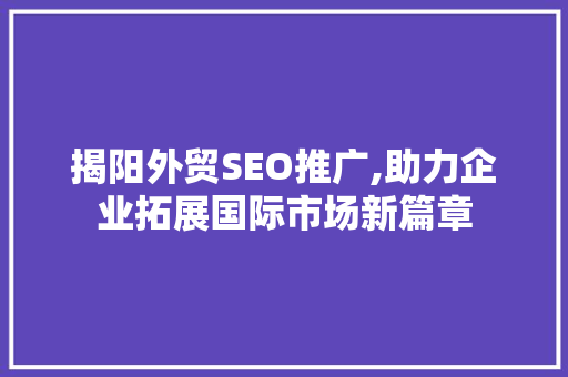 揭阳外贸SEO推广,助力企业拓展国际市场新篇章