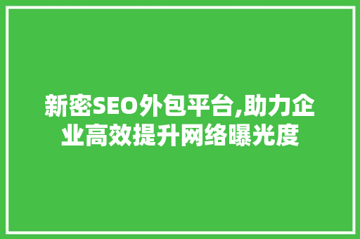 新密SEO外包平台,助力企业高效提升网络曝光度