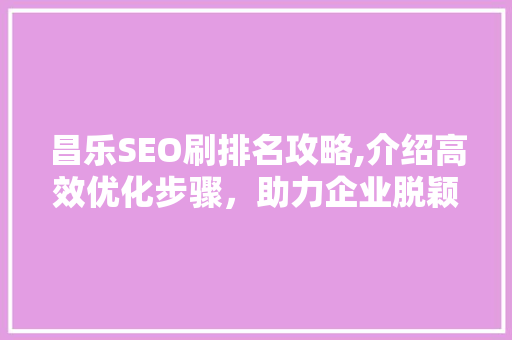 昌乐SEO刷排名攻略,介绍高效优化步骤，助力企业脱颖而出  第1张