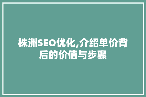 株洲SEO优化,介绍单价背后的价值与步骤