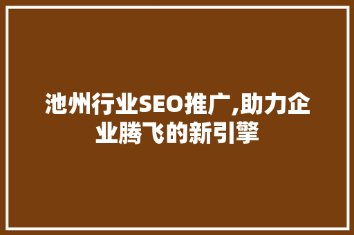 池州行业SEO推广,助力企业腾飞的新引擎