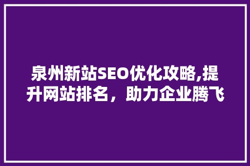 泉州新站SEO优化攻略,提升网站排名，助力企业腾飞