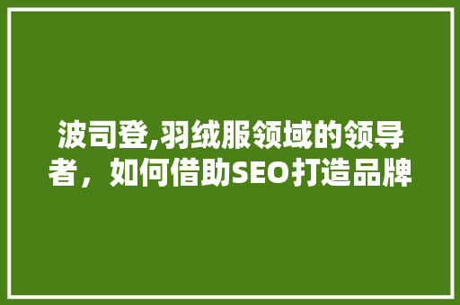 波司登,羽绒服领域的领导者，如何借助SEO打造品牌影响力