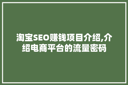 淘宝SEO赚钱项目介绍,介绍电商平台的流量密码