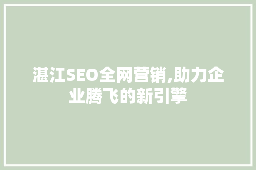 湛江SEO全网营销,助力企业腾飞的新引擎