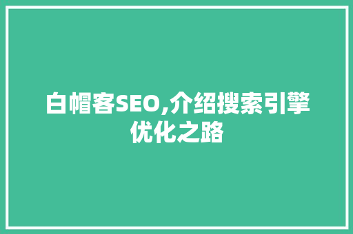 白帽客SEO,介绍搜索引擎优化之路