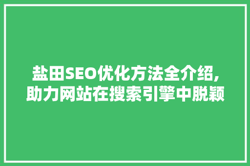 盐田SEO优化方法全介绍,助力网站在搜索引擎中脱颖而出