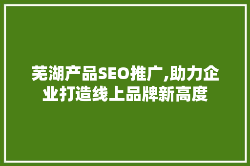 芜湖产品SEO推广,助力企业打造线上品牌新高度